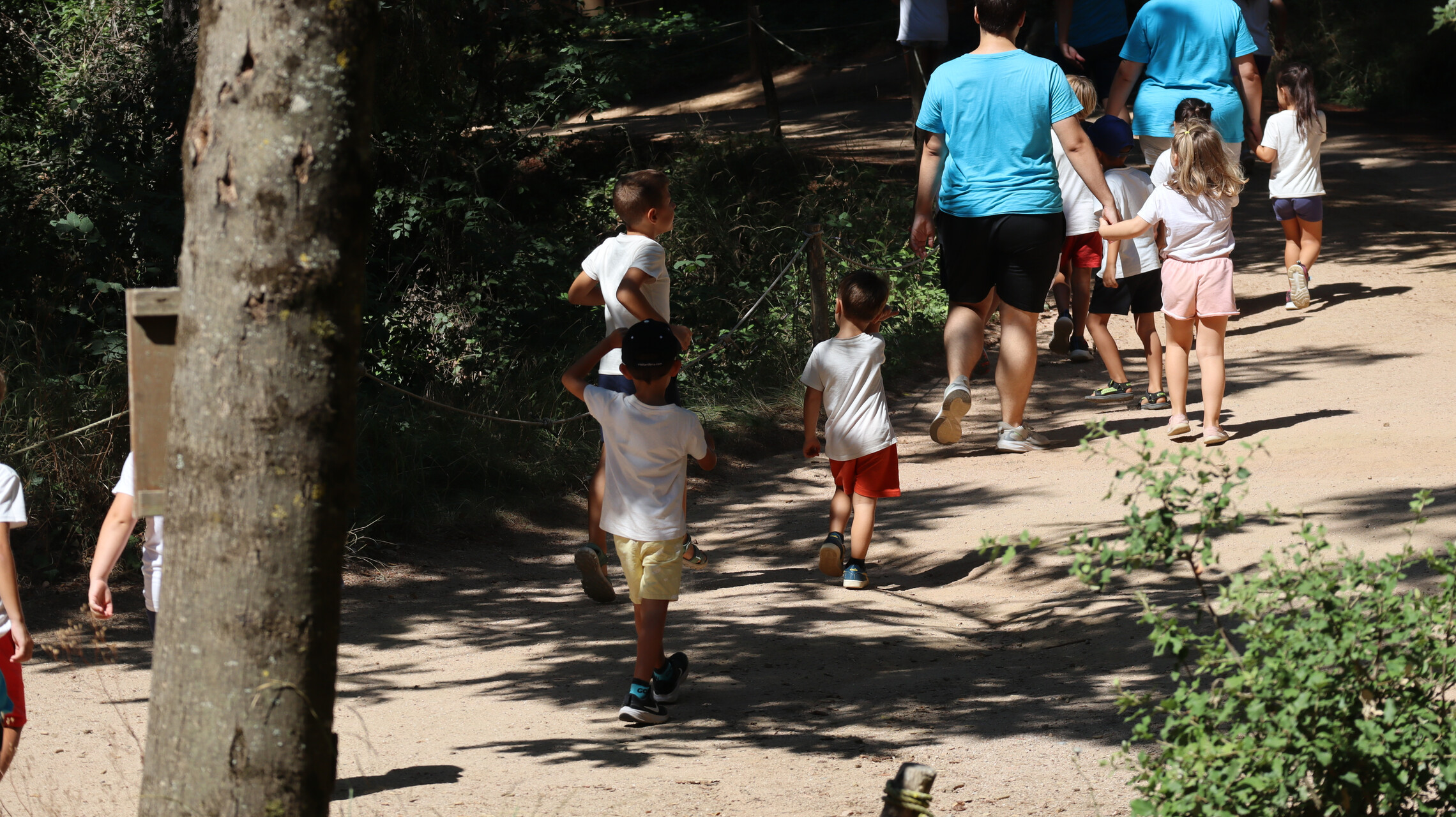 Reactivamos el Consejo Municipal de la Infancia de Barberà del Vallès