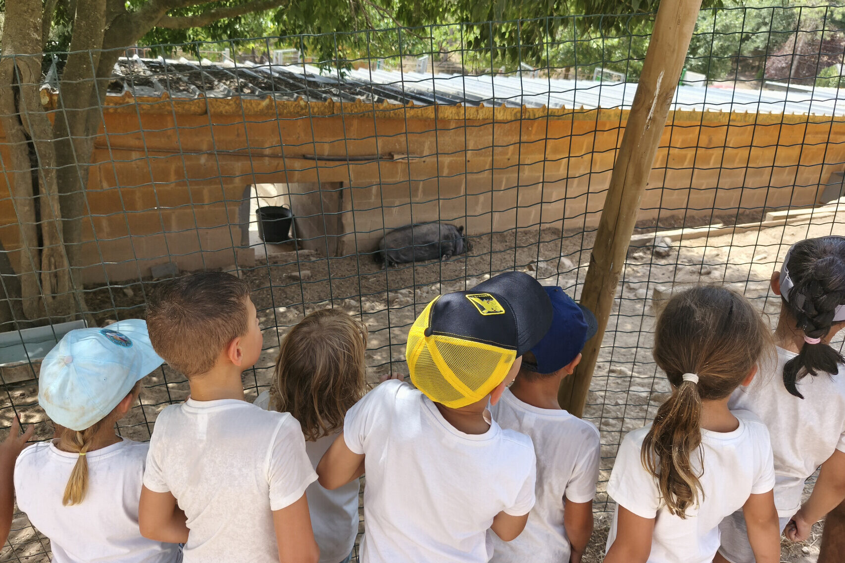 Casal de verano 2026 en el Institut Escola Can Llobet de Barberà del Vallès